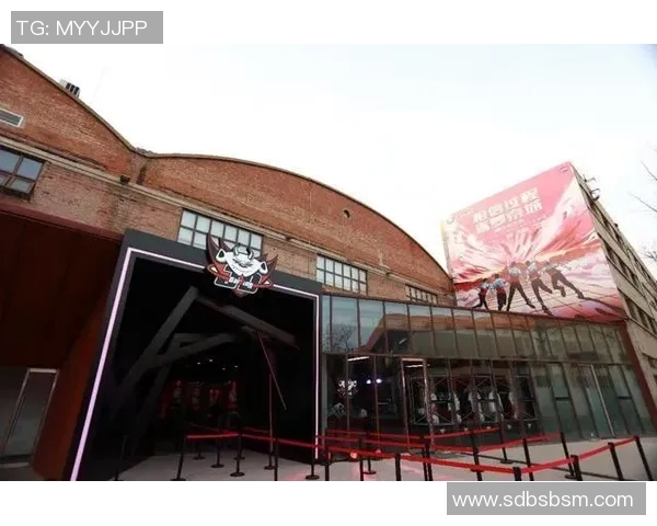 冠军杯特别报道JDG战队的崛起与辉煌历程全景回顾