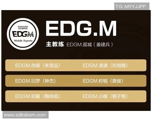esports数据王者荣耀热点分析深入探讨EDG战队的运营策略与成功之道